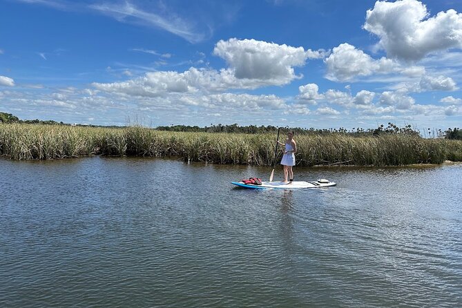 Crystal River Reserve State Park Electric Paddleboard Rentals - Sum Up