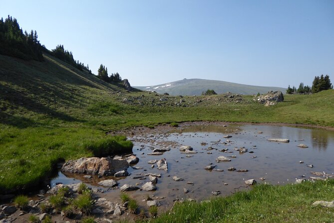 Denver, Rocky Mountains and Garden of the Gods Tour From Colorado - Booking and Payment Details