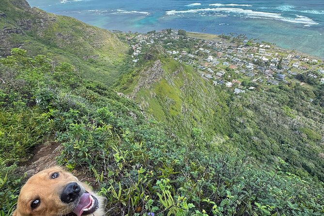 Hawaii Oahu Canyon Rappel & Hike Expedition Tour - Cultural Immersion