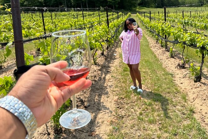 NON BUS Traverse City Wine Old Mission Peninsula Wine Tour - What to Expect on the Tour
