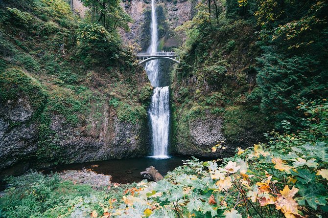 Private Portland City/Gorge Waterfalls Tour - Sum Up