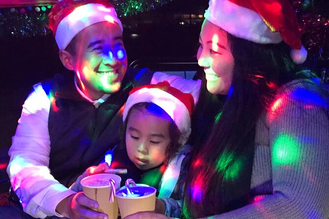 San Francisco Private Group Holiday Lights Tour - Up to 6 Guests - Additional Details