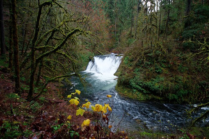 Silver Falls Private Hike Tour - The Sum Up