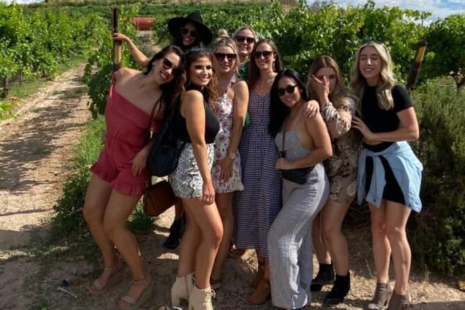 Southern Arizona Private Wine Tour South of Tucson - Sonoita-Elgin Vineyards - Safety Measures for a Worry-Free Tour