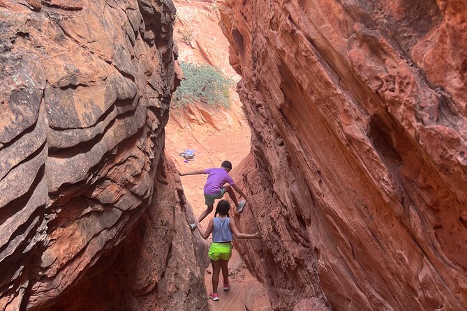 Babylon Arch Hike and Desert Wildlife Adventure - Good To Know