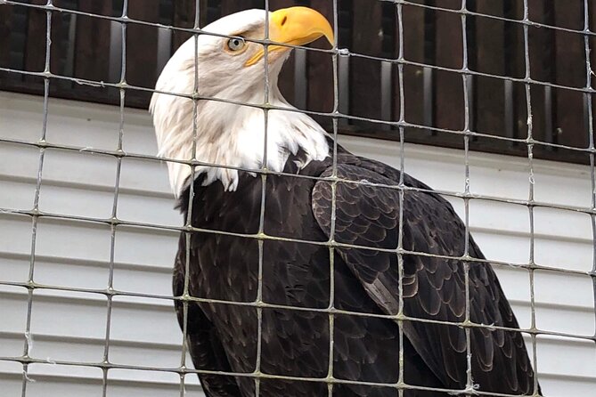Best of Sitka Land Tour L Top Attractions & Scenic Highlights - Good To Know