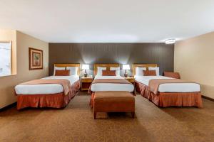 Best Western Plus Pavilions - Hotel Overview