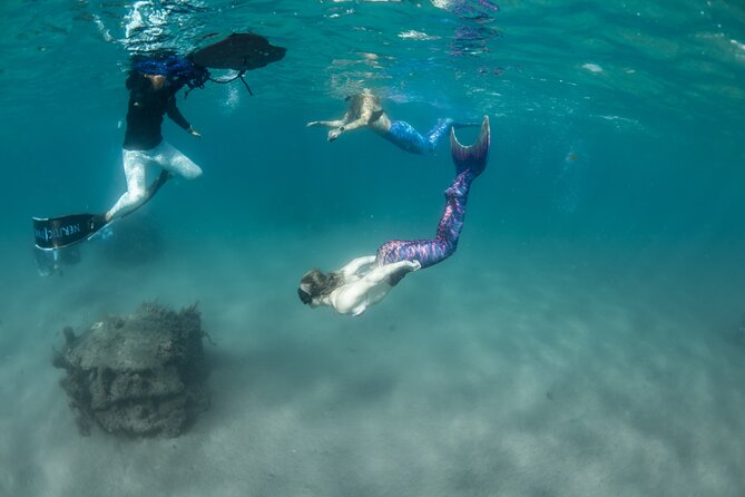 Blue Heron Bridge Mermaid Experience - Key Points