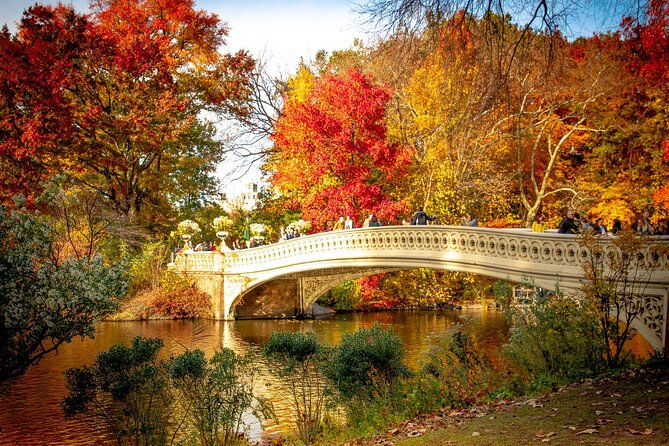 Central Park Outdoor Escape Adventure - Good To Know