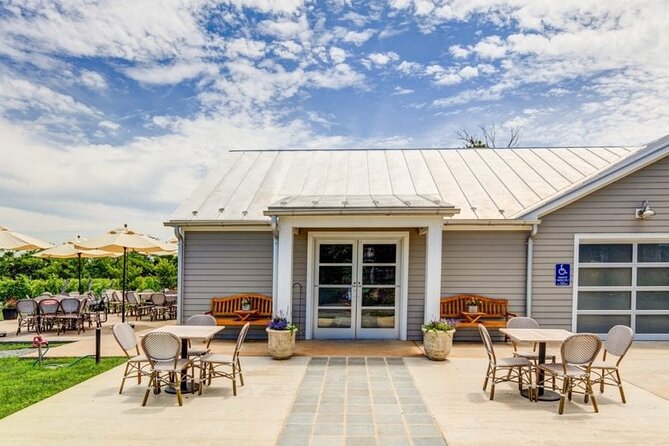 Charlottesville: Best Vineyards Private Tour (Up to 14 People) - Good To Know