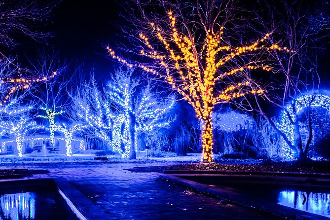 Cookeville Christmas Lights Luxury Tour in the RoadStallion - Good To Know