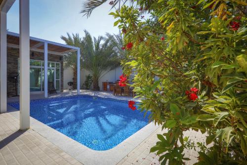 Dar 66 Pool Chalets With Jacuzzi - About Your Stay