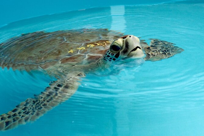 Discover the Marquesas Keys Private Experience - Good To Know