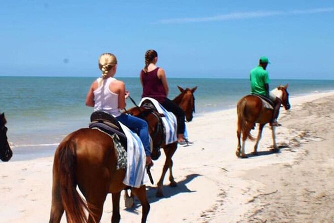 Dunns River Falls and Horseback Riding Tour From Montego Bay - Key Points