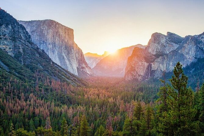 Enchanting Small Group Yosemite National Park Tour From Cupertino - Good To Know