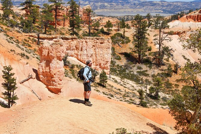Explore Bryce Canyon: Private Full-Day Tour From Salt Lake City - Good To Know