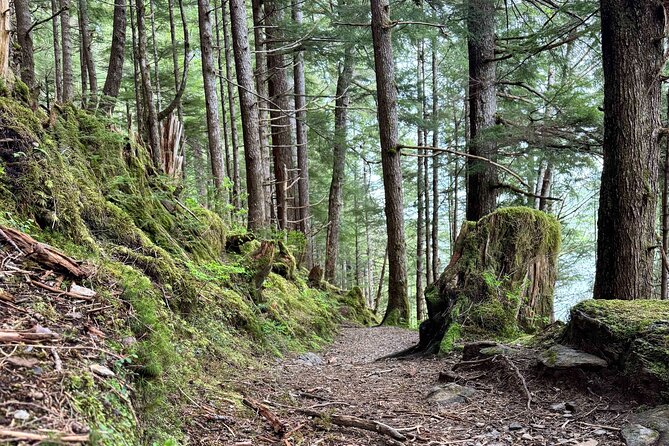 Explore Tongass National Forest on Connell Lake Trail Hike - Good To Know