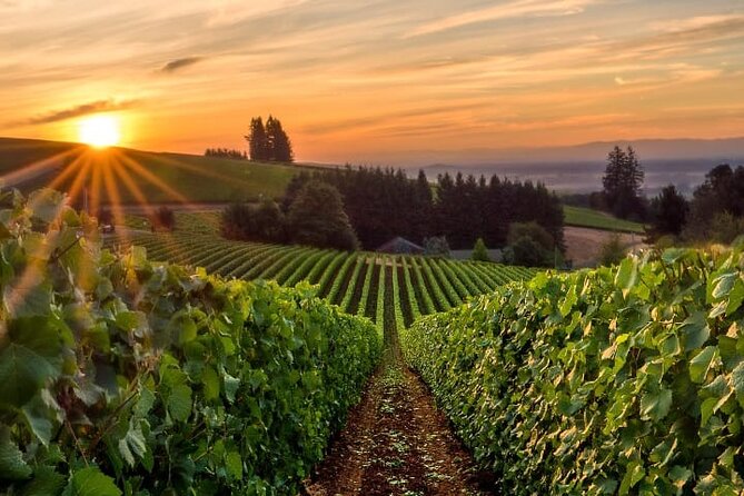 From Portland Private Willamette Valley Wine Tour - Good To Know