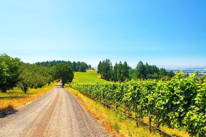 Full Day Private Willamette Valley Wine Tour From Portland - Good To Know