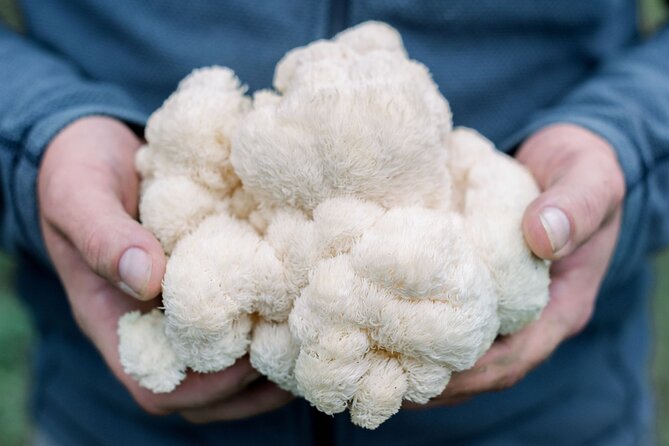 Gourmet Mushroom Farm Tour in Tennessee - Good To Know