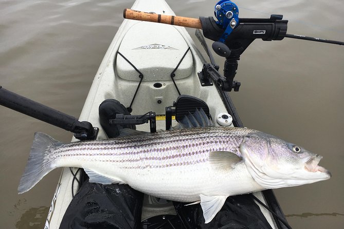 Guided Kayak Fishing Tour - Good To Know
