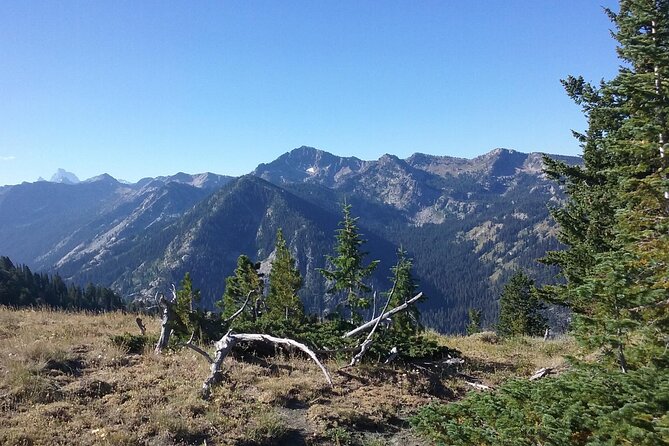 High Mountain Scenic Trail Rides in the Teton Range - Good To Know