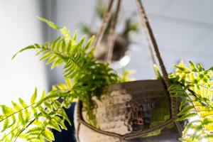 Hotel School De Rooi Pannen Eindhoven - Good To Know