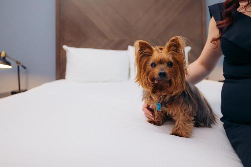 Hotel Winters - Good To Know