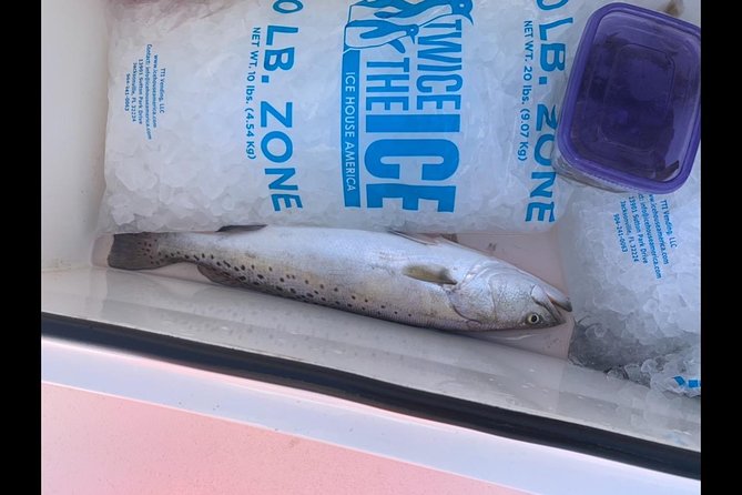 Jacksonville Fishing Charter-23 - Overview and Pricing