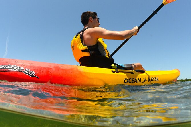 Kayak Tour and Rental - Good To Know