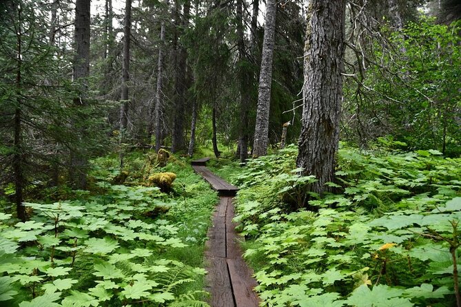 Laughton Glacier Hike and White Pass Rail Adventure - Good To Know