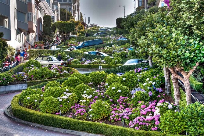 Lombard Leap + Alcatraz: San Francisco, Lombard St, Coit Tower - Good To Know