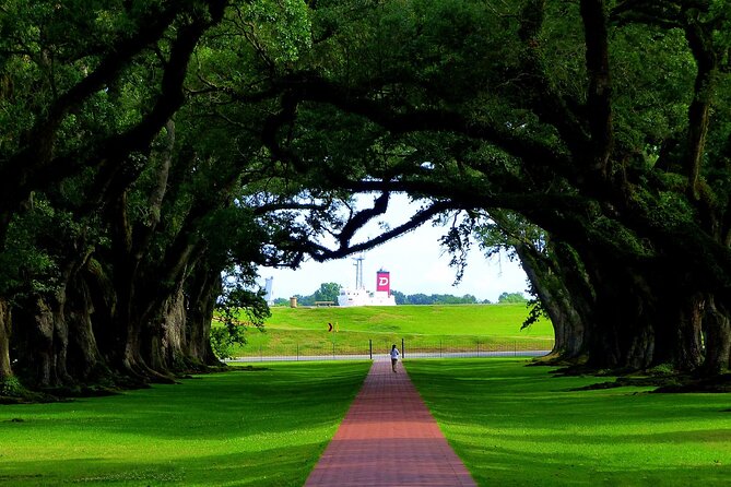 Majestic Oak Alley Plantation Tour - Overview of the Majestic Oak Alley Plantation Tour