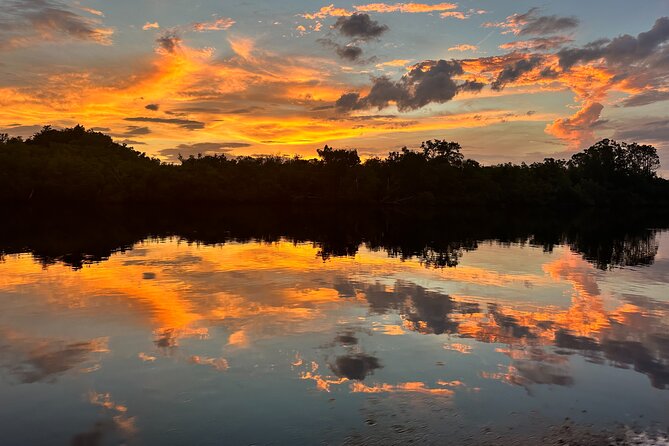Mangrove and Gulf Excursion Tour - Good To Know