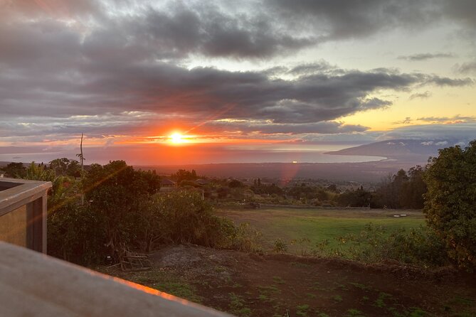Maui Paint and Sip at Maui Bird House