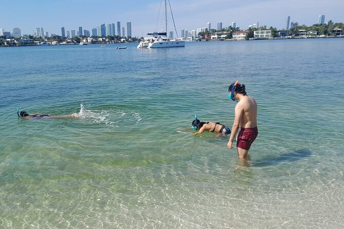 Miami: Snorkeling for Beginners Private Tour - Good To Know