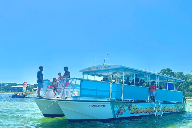 Morning Snorkel & Dolphin Adventure - Good To Know