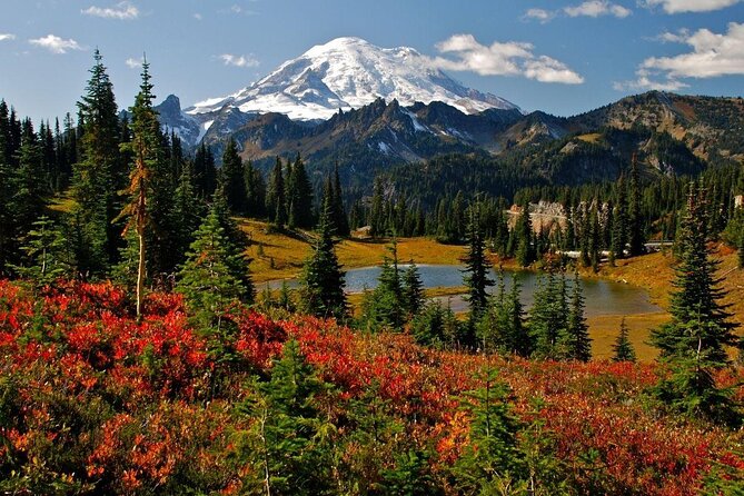 Mount Rainier National Park Tour From Seattle - Good To Know