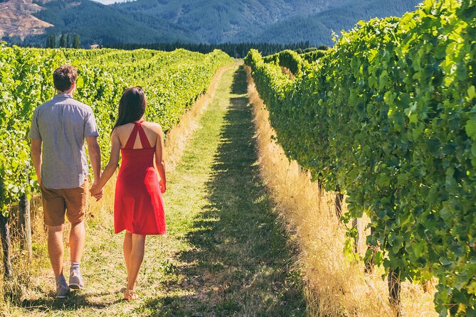 Napa Valley Private Wine Transportation (Up to 6 Passengers) - Overview and Pricing