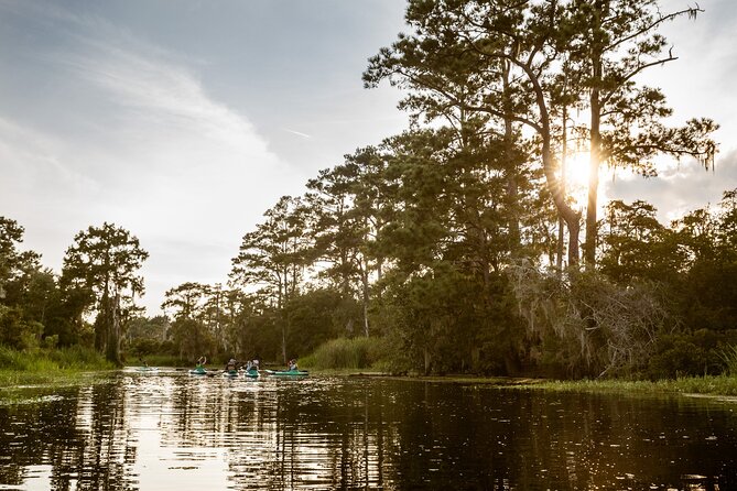 New Orleans Bayou Adventure: Kayak Rental - Good To Know