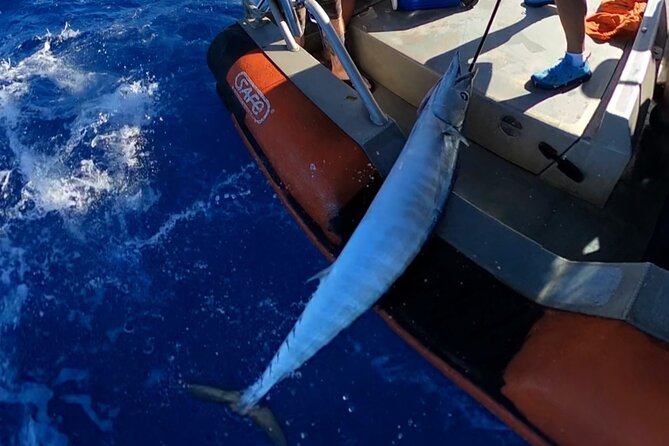 Oahus Unique Whale Watching and Fishing Charter - Good To Know