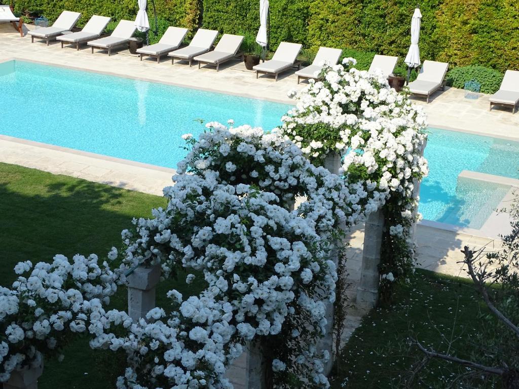 Palazzo Ducale Venturi – Luxury Hotel & Wellness Review