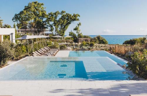 Paradise House Review
