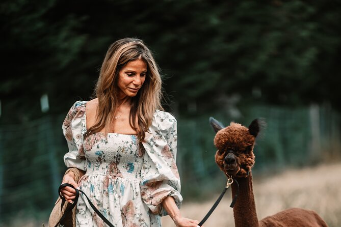 Photoshoot With Alpacas and Farm Experience Near Seattle - Good To Know
