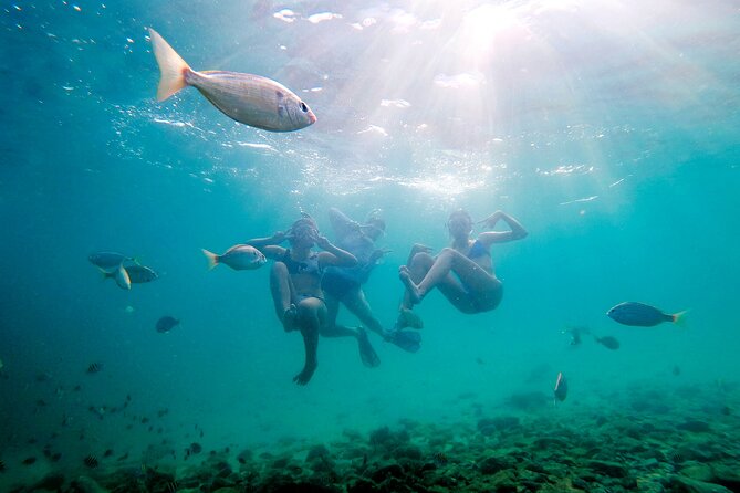 Private Catamaran: Snorkel, Swim and Dolphin Watching - Good To Know