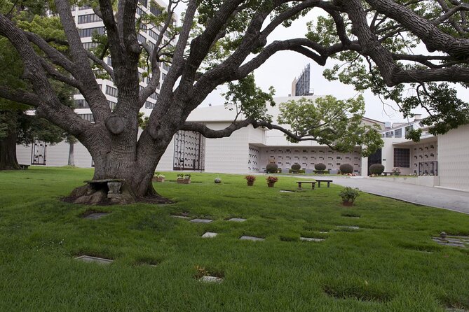 Private Full Day Los Angeles Tour With a Historian and Naturalist - Good To Know