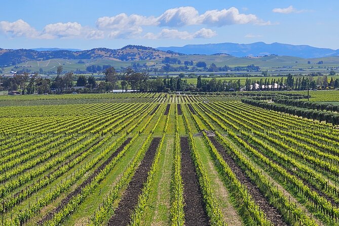 Private Group Wine Tour of Napa Valley - Good To Know