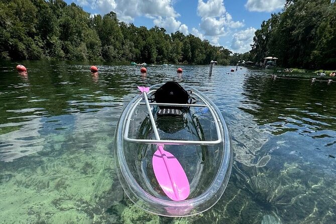 Private Guided Clear Kayak/Paddleboard Rentals on Rainbow River - Good To Know