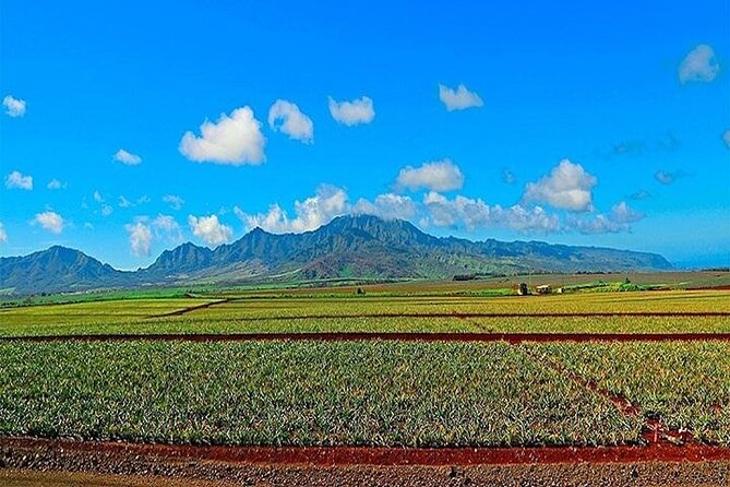 Private Pearl Harbor and Mini Circle Island Tour From Waikiki - Good To Know