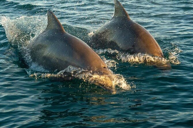 Private Sunset Sail in Key West Florida - Good To Know